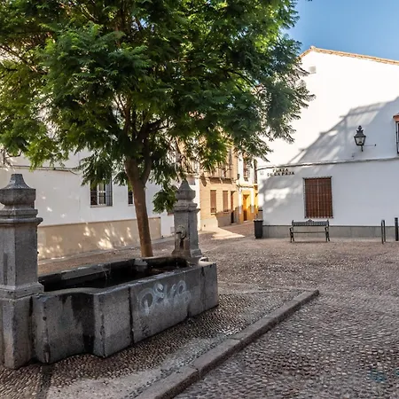 El Refugio De La Corredera & Parking Incluido Cordoba